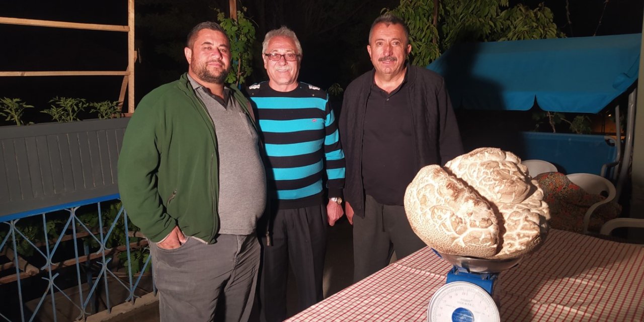 Sivas'ta 8 Kiloluk Mantar Şaşırttı