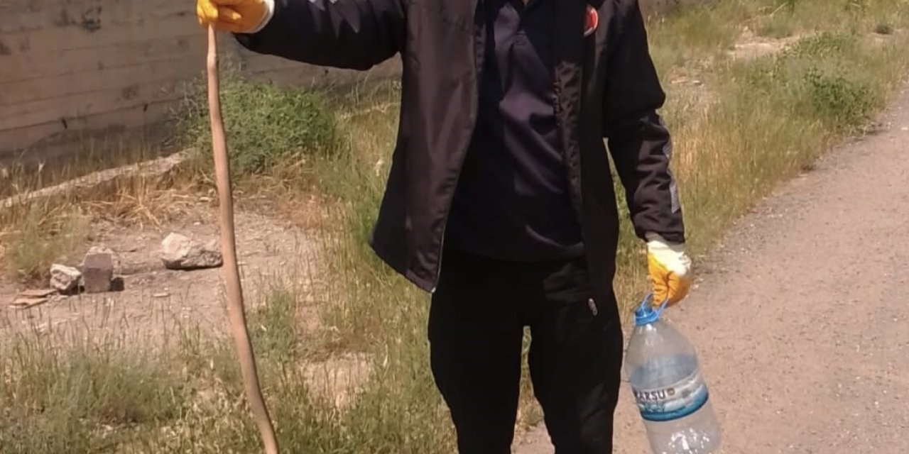 Sivas'ta Yılan Vakaları Tedirgin Ediyor
