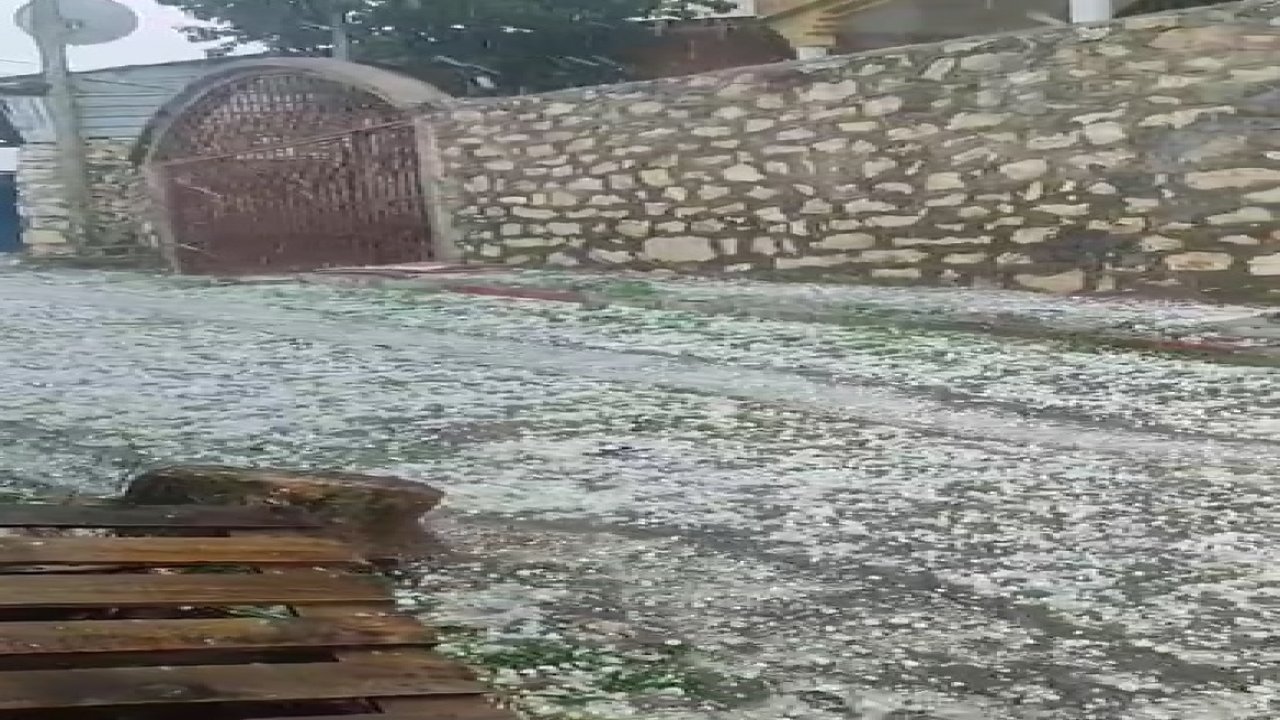 Fındık Gibi Yağdı, Tarımı Vurdu