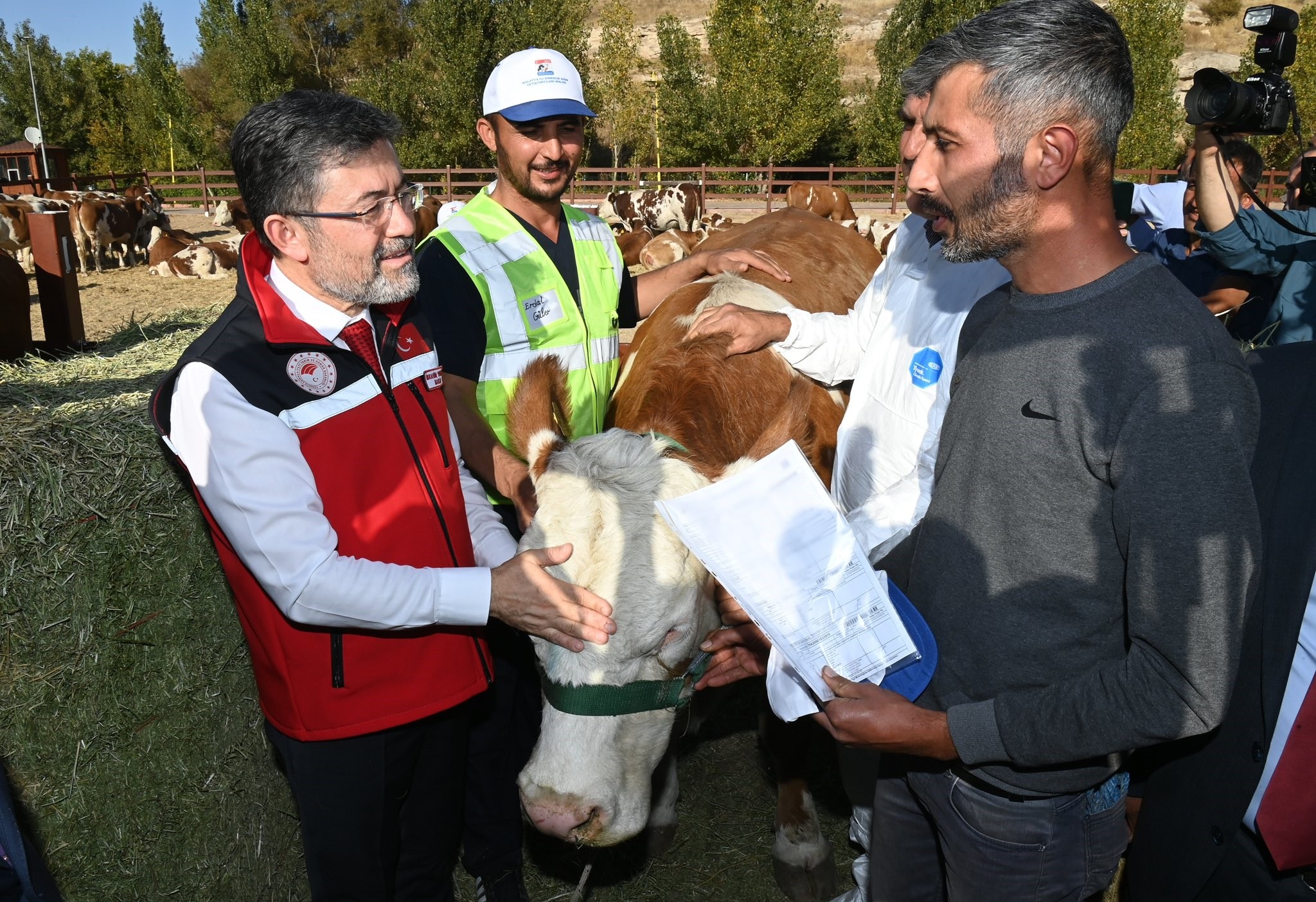 Türkiye’de 3 Milyonun Üzerinde Hayvan Kesildi