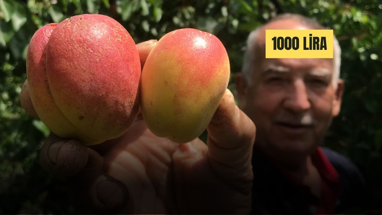 Zirai Don Sadece Meyveleri Değil Cepleri de Yaktı
