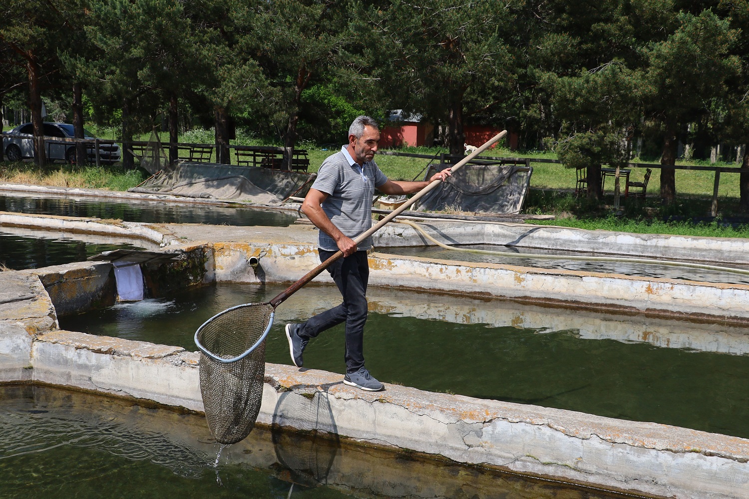 Sivas'tan Avrupa'ya Balık İhracatı