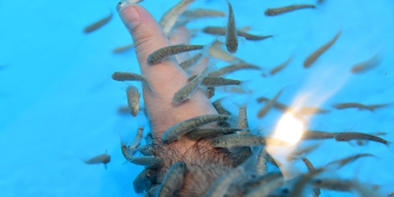 Sivas'ın Balıklı Kaplıcası Kapalı: Hastalar Tedavi Olamıyor