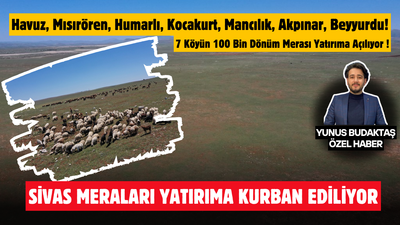 Sivas Meraları Yatırıma Kurban Ediliyor