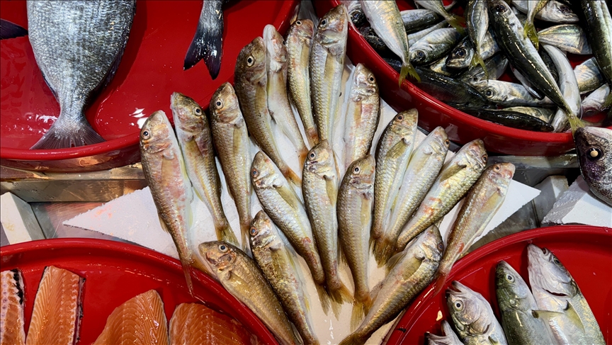 Balıkçı tezgahlarında bolluk yaşanıyor