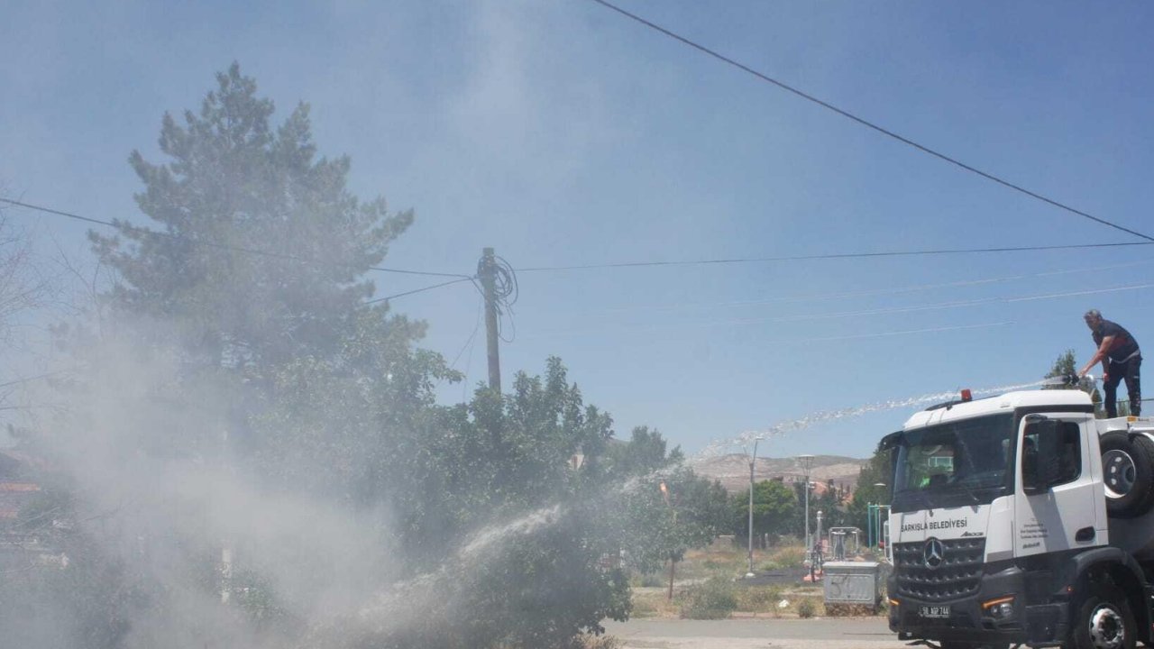 Sivas'ta Alevler Parka ve Evlerin Dibine Kadar Geldi