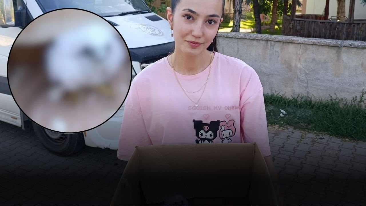 Sivas'ta Bulundu, Ne Olduğu Bilinmiyor