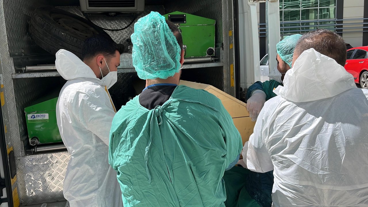Kene Kaybı Büyüyor, 72 Yaşındaki Kadın Öldü