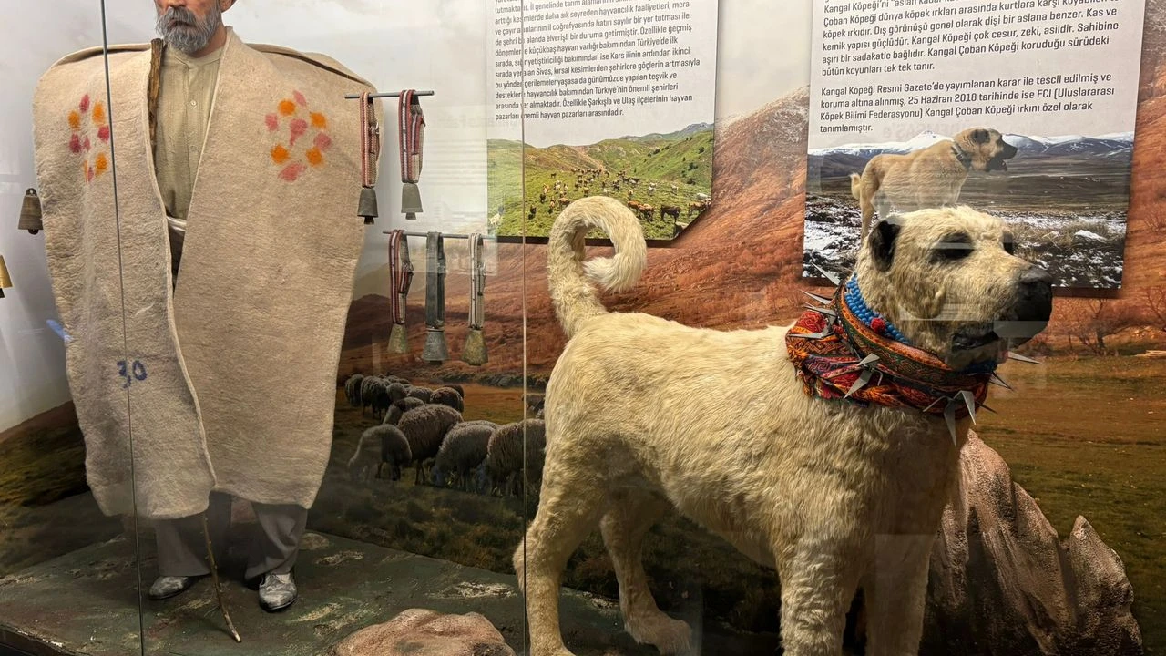 Sivas’ın Tarihi Şehir Müzesinde Yaşatılıyor