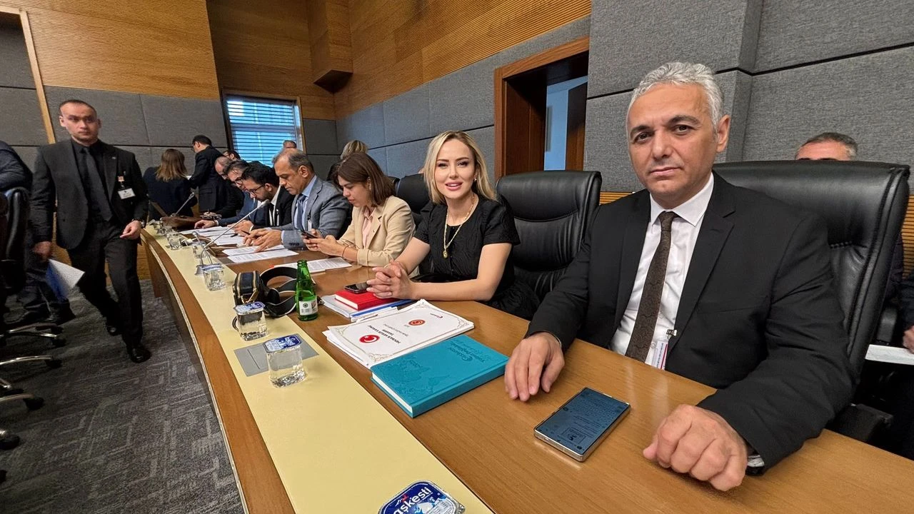 Bu yasa tüm dünyaya örnek olacak