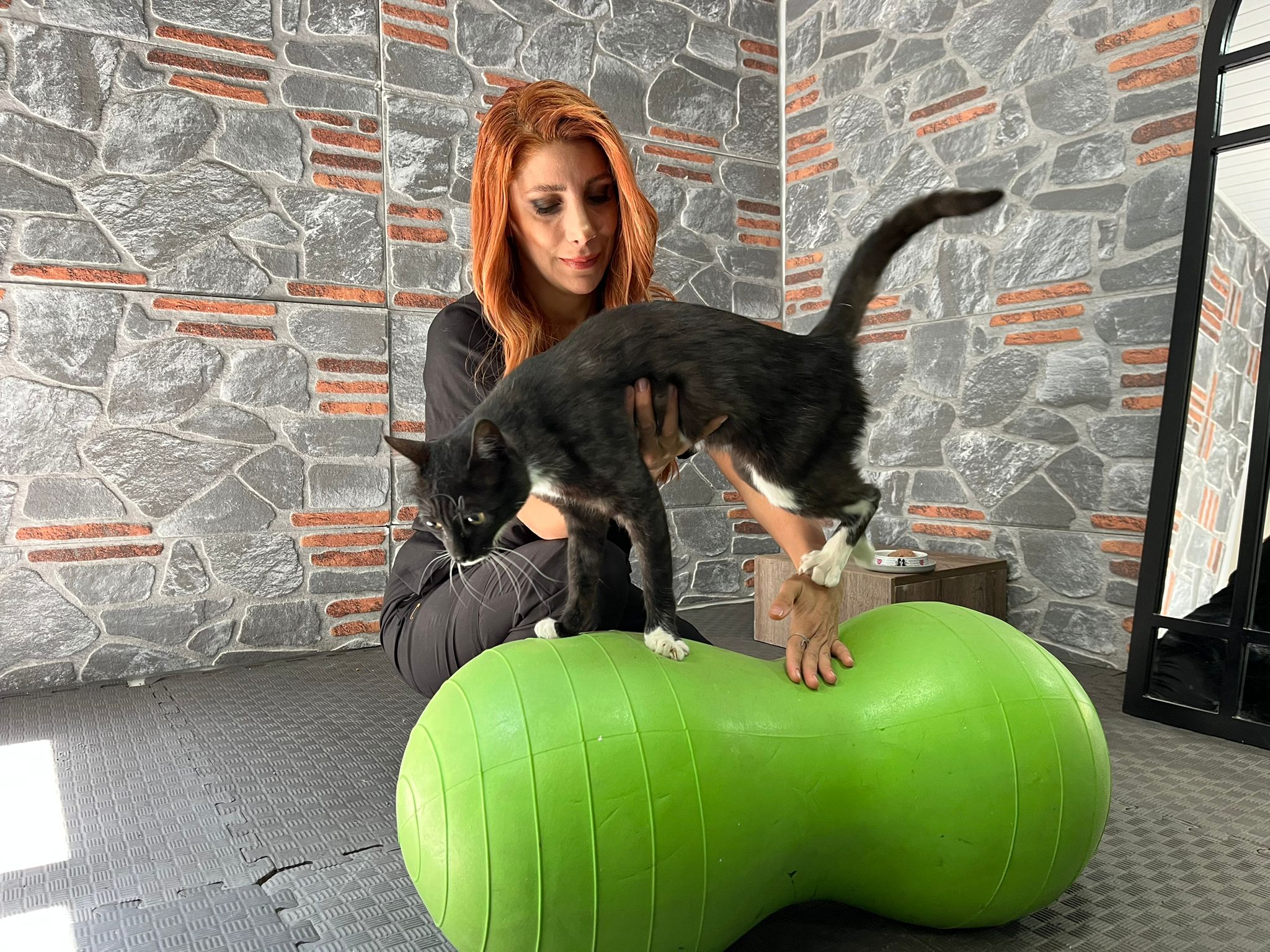 Yaralı Kedi Tedaviyle Hayata Döndü