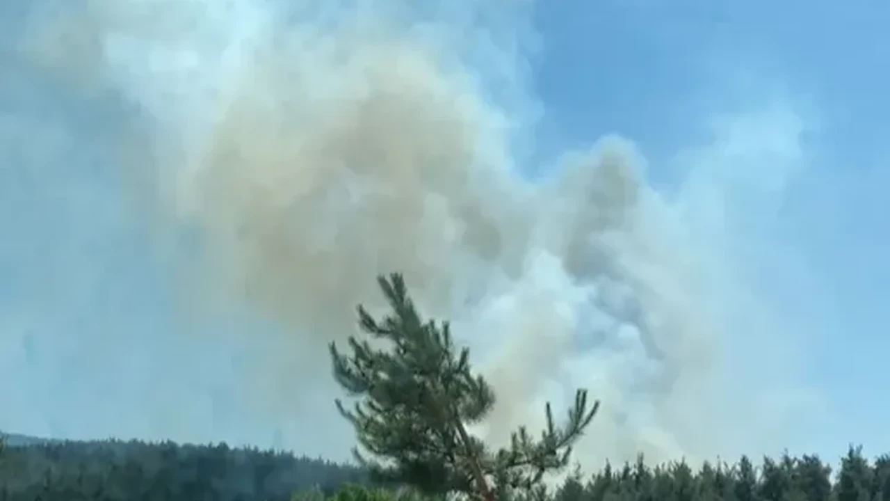 Orman Yangını Şüphelisi Tutuklandı