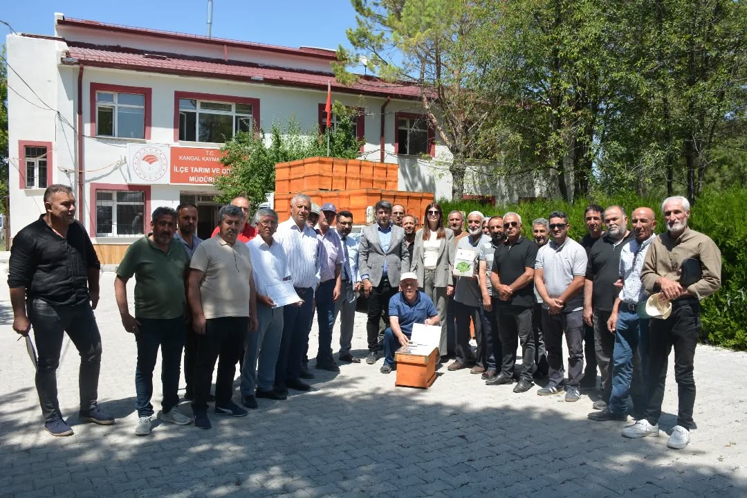 Kangal'da Arıcılıkta Yeni Dönem