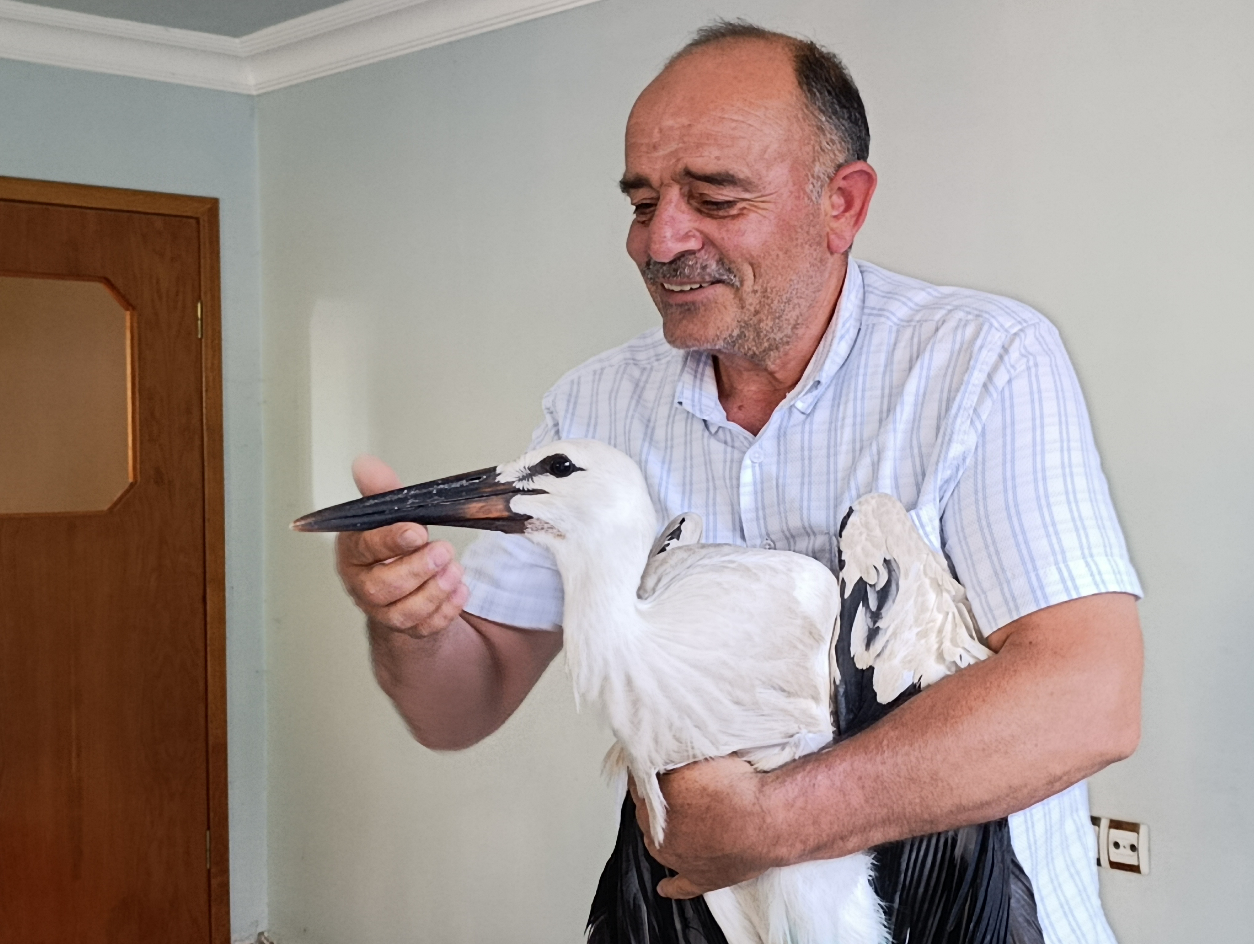 Sivas’ta Kanadı Kırık Leyleğe Hayat Dokunuşu