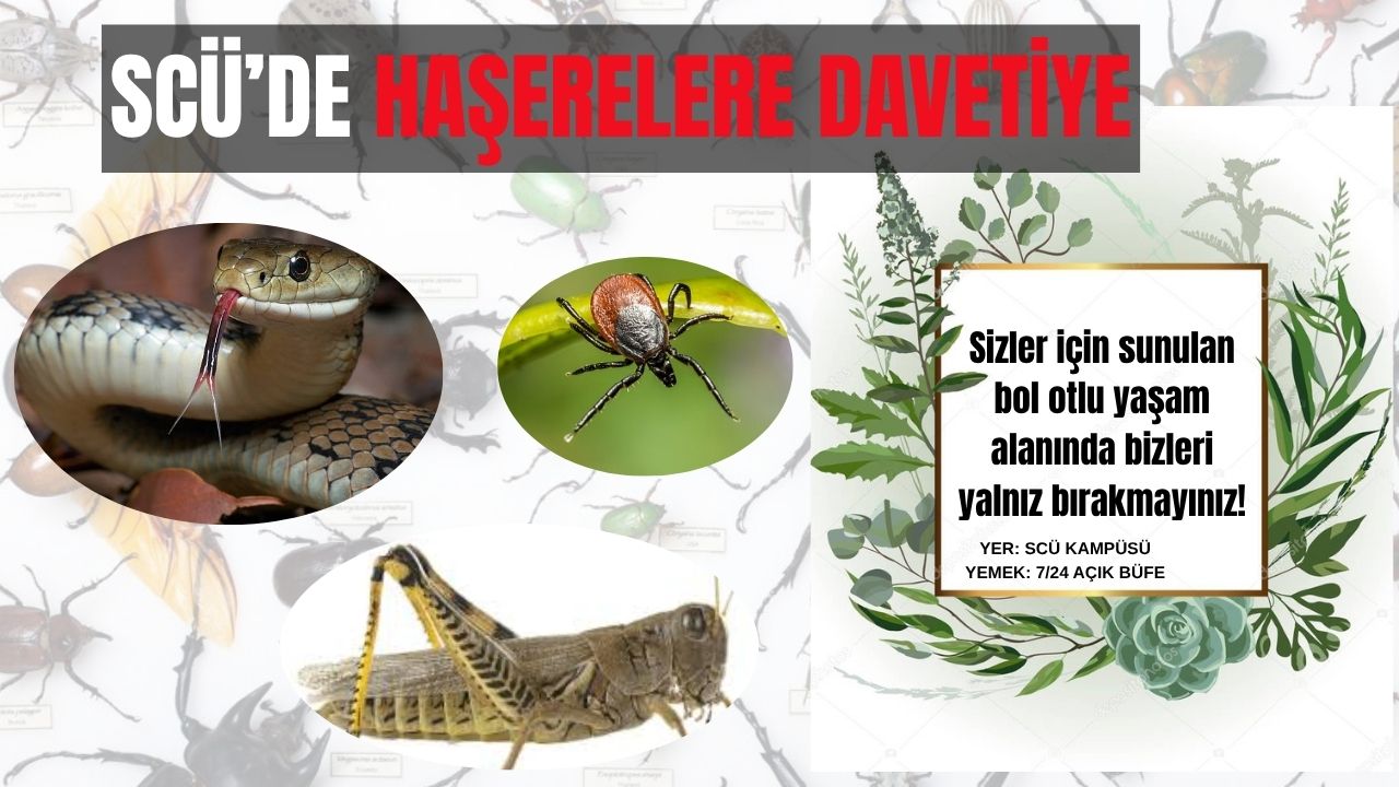 SCÜ’de Haşerelere Davetiye