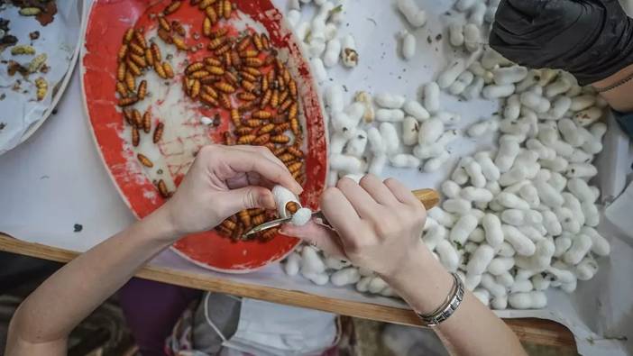 Dünyada 5 tane, Türkiye’de tek! Üstelik Ücretsiz