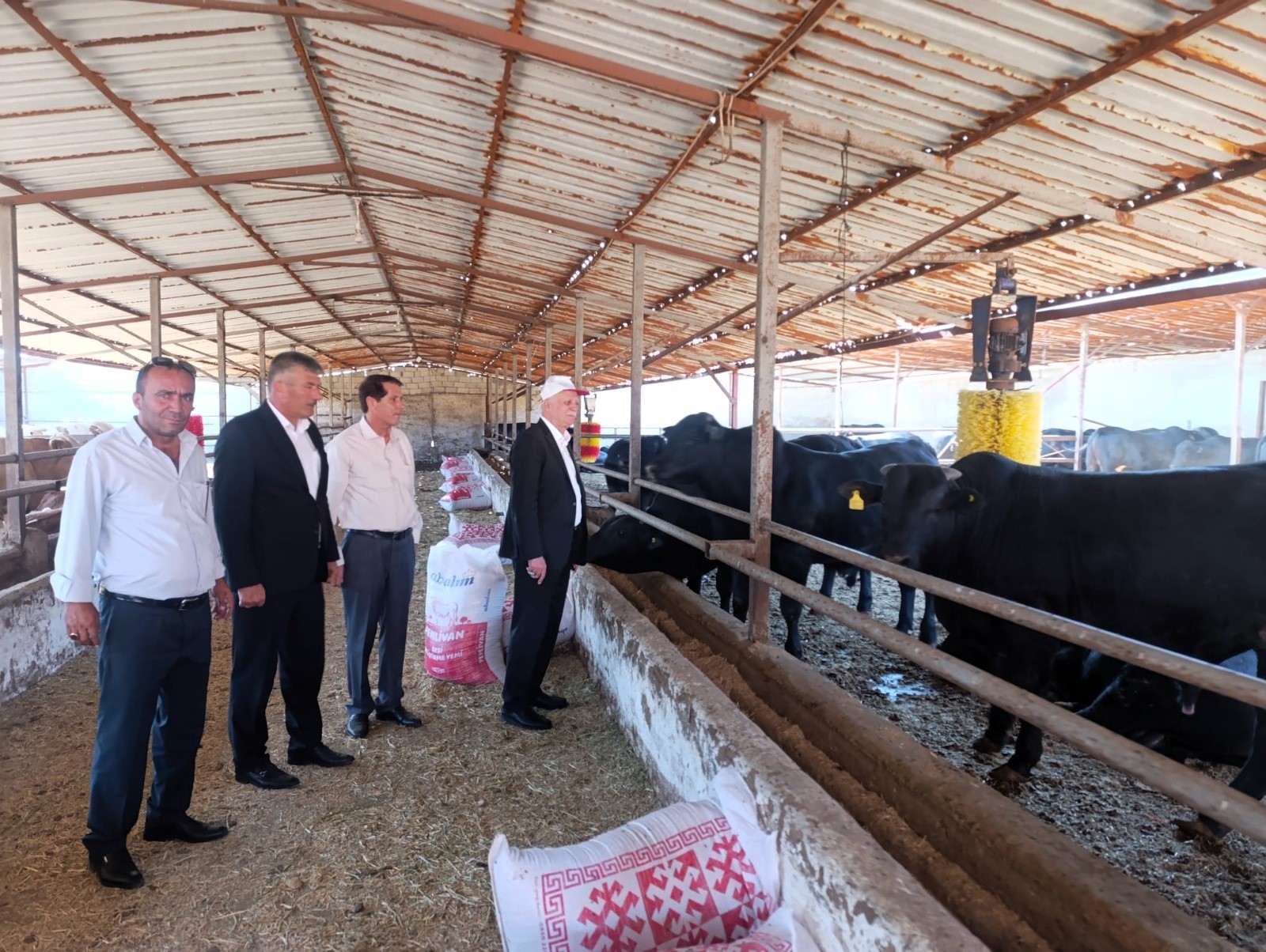 "Bu yıl görülen şap virüsü daha ölümcül ve tehlikeli "