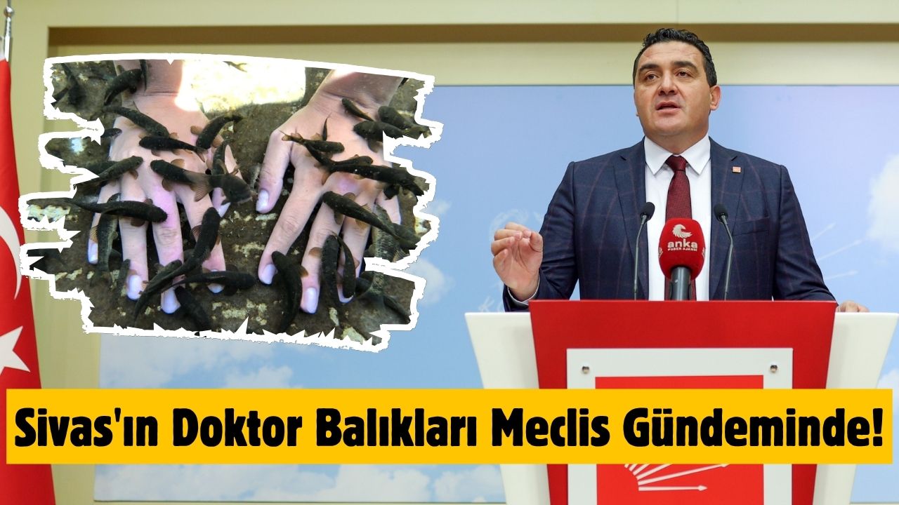 Sivas'ın Doktor Balıkları Meclis Gündeminde!
