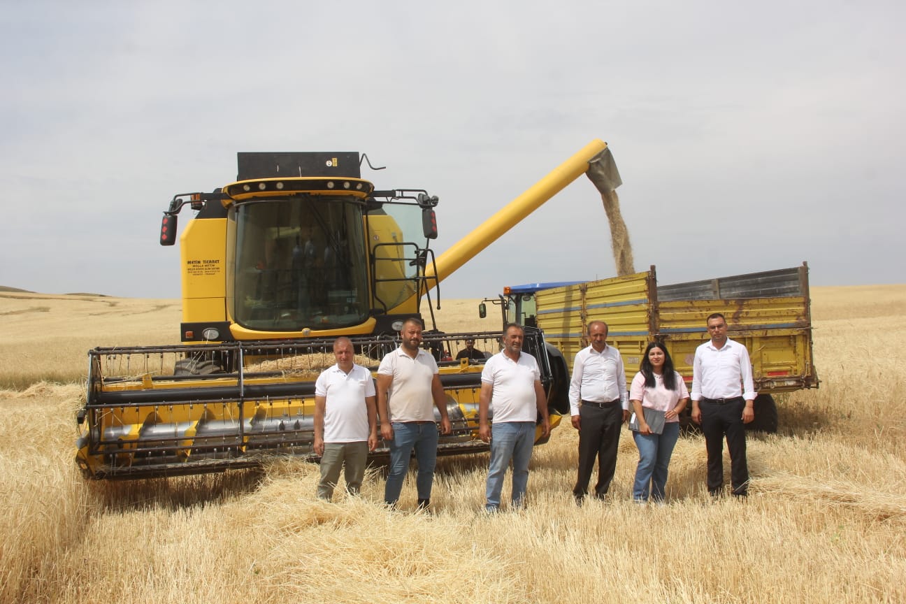 Sivas'ta Hububat Hasadı Başladı