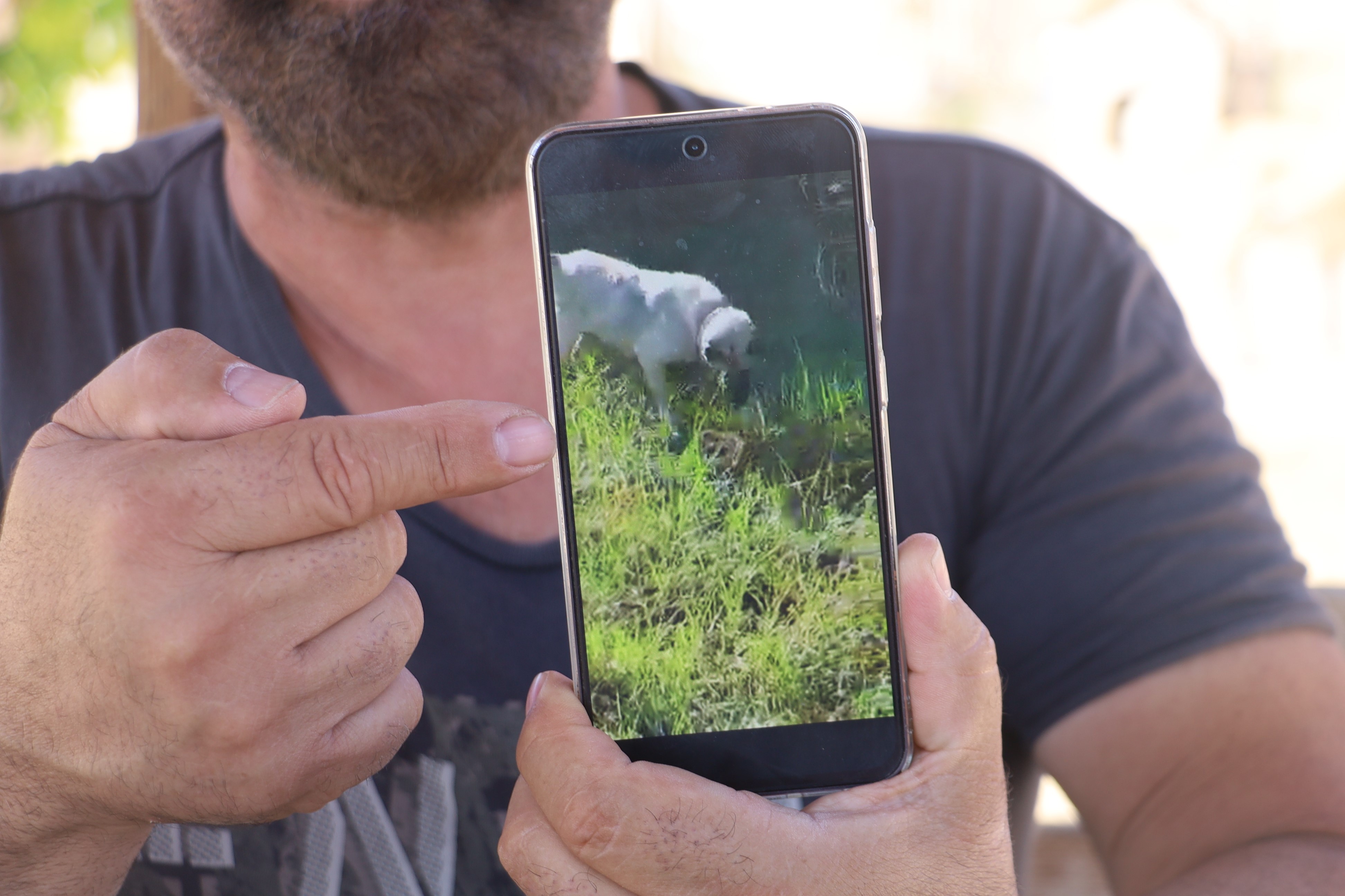 Sivas'ta 2 Metrelik Yılanı Etkisiz Hale Getirdi