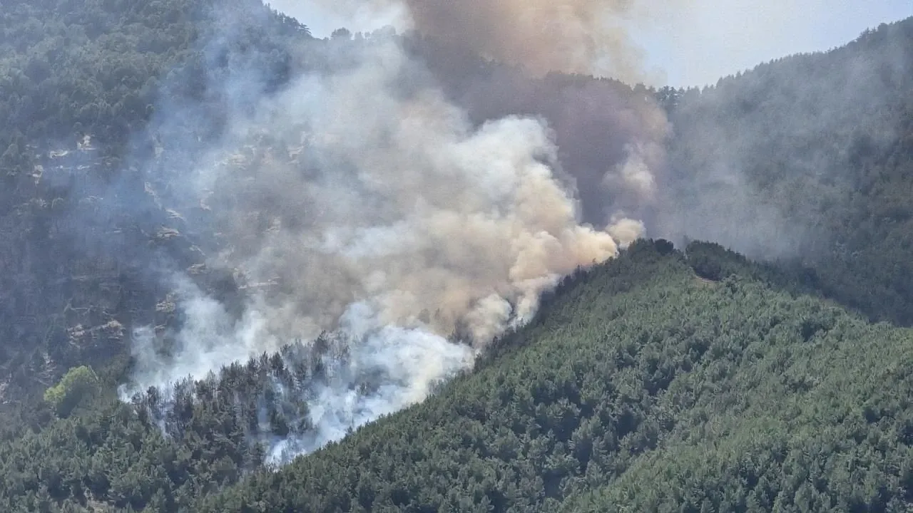 61 orman yangını: 4 kişi tutuklandı