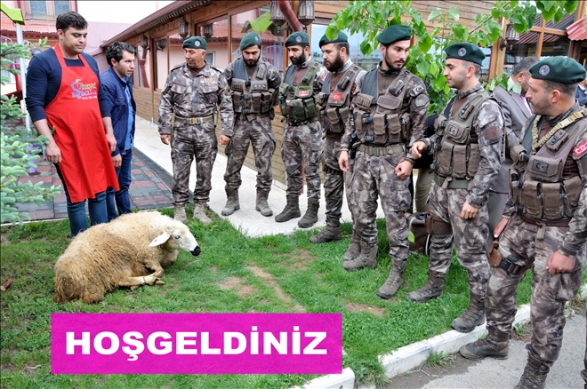 HOŞGELDİNİZ