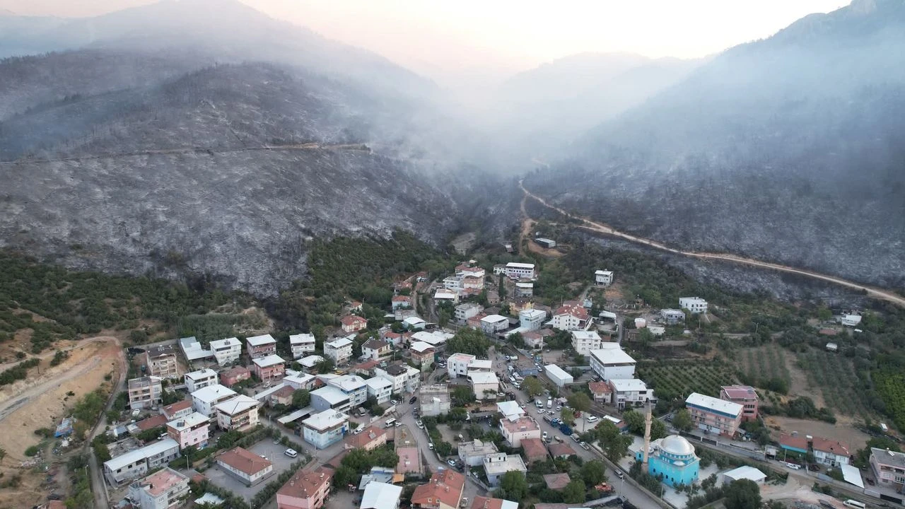 Ormanlık alandan geriye kül yığınları kaldı