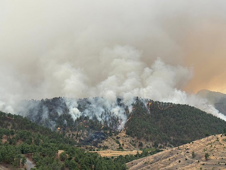 Orman yangınlarına müdahale sürüyor