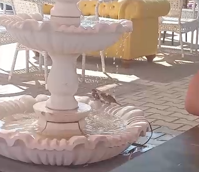 Sivas Onlar İçin Tatil Köşesi