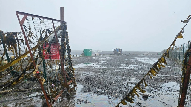 Rusya ve Japonya'yı tsunami vurdu