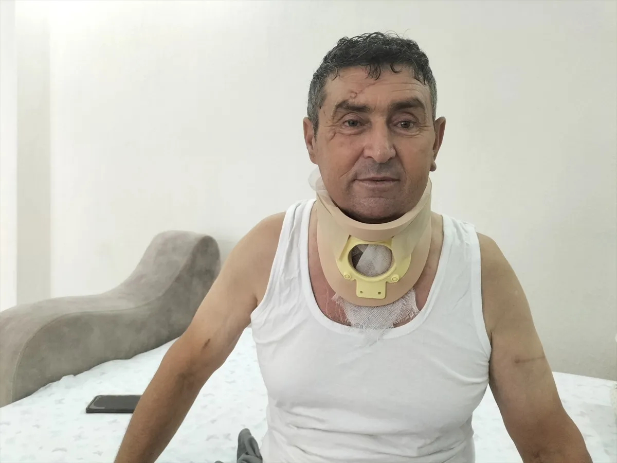 Rüyamda bazen aslanla boğuşuyorum