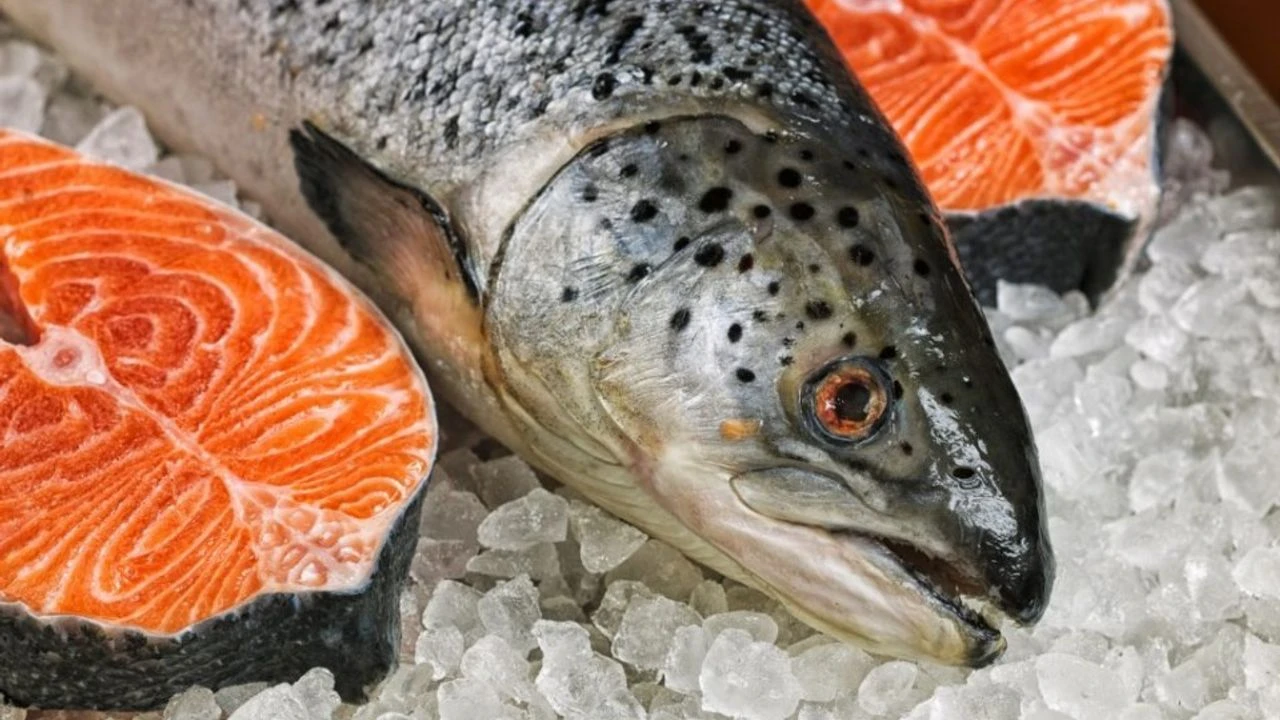 Somon ihracatı 6 ayda 81,5 milyon doları aştı