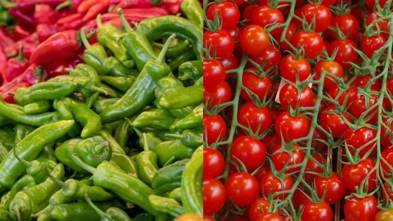 Sebze ihracatında yüzde 10’luk artış