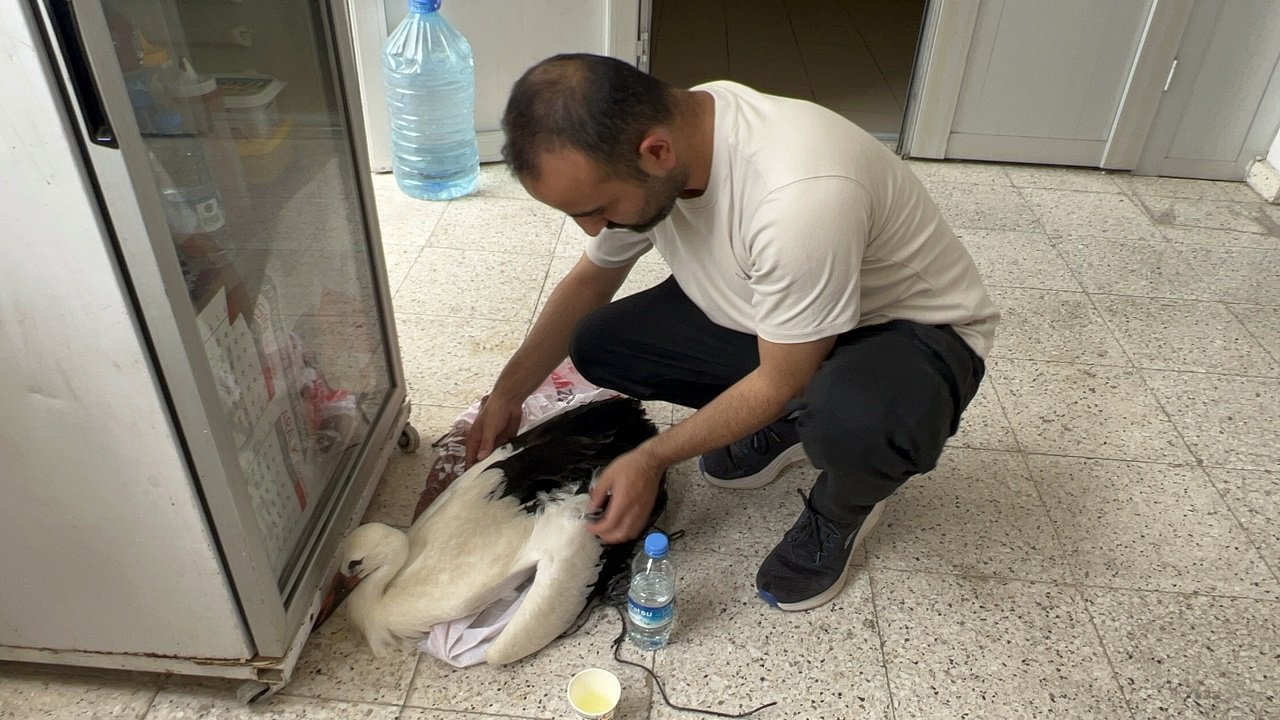 Hasat Arasında Hayat Kurtardı