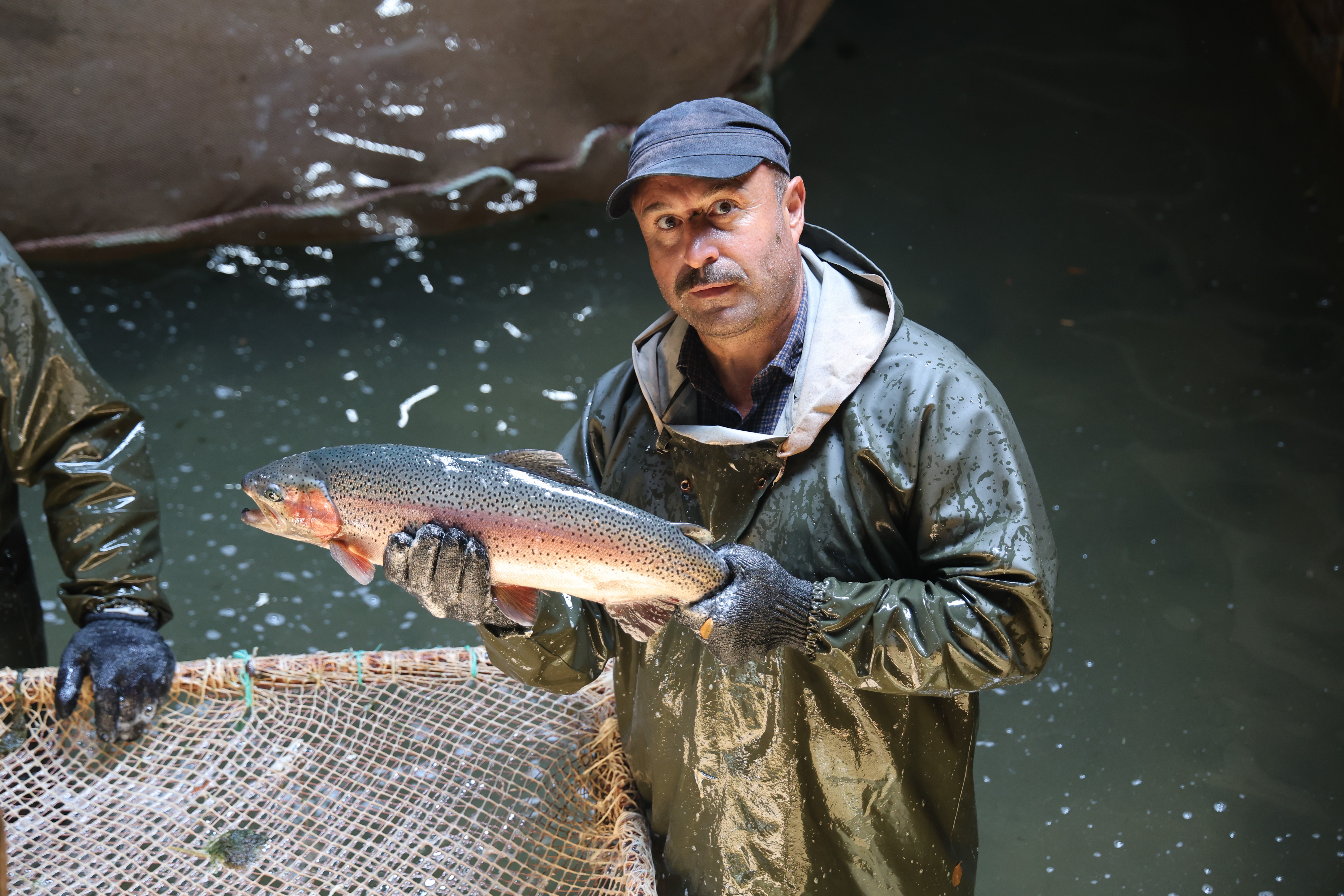 Denize Kıyısı Yok Ama Zirvede: Sivas’ta Alabalık Üretimi