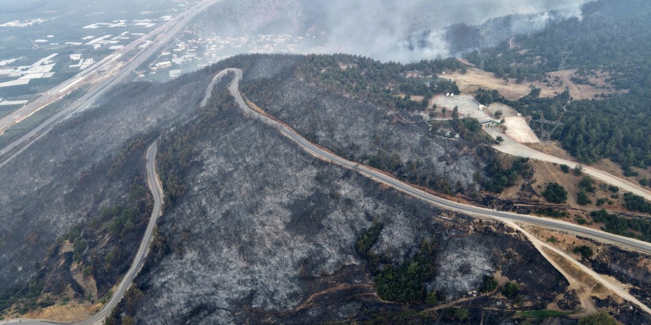 Ekosistemin yenilenmesi için 100 yıl gerekiyor