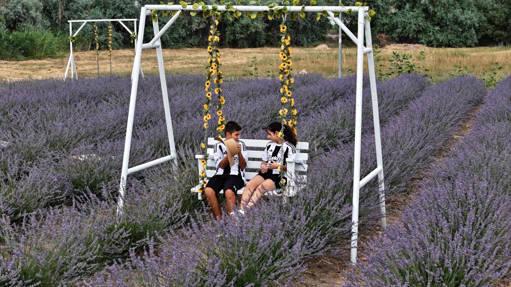 Âşık Olduğu Dağın Eteğine Lavanta Bahçesi Kurdu