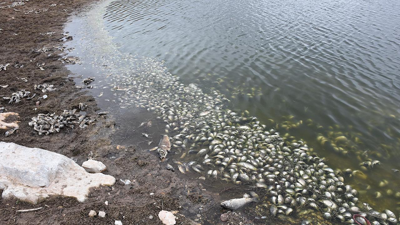 Sivas’ta Ölümlere İlişkin Kritik Açıklama