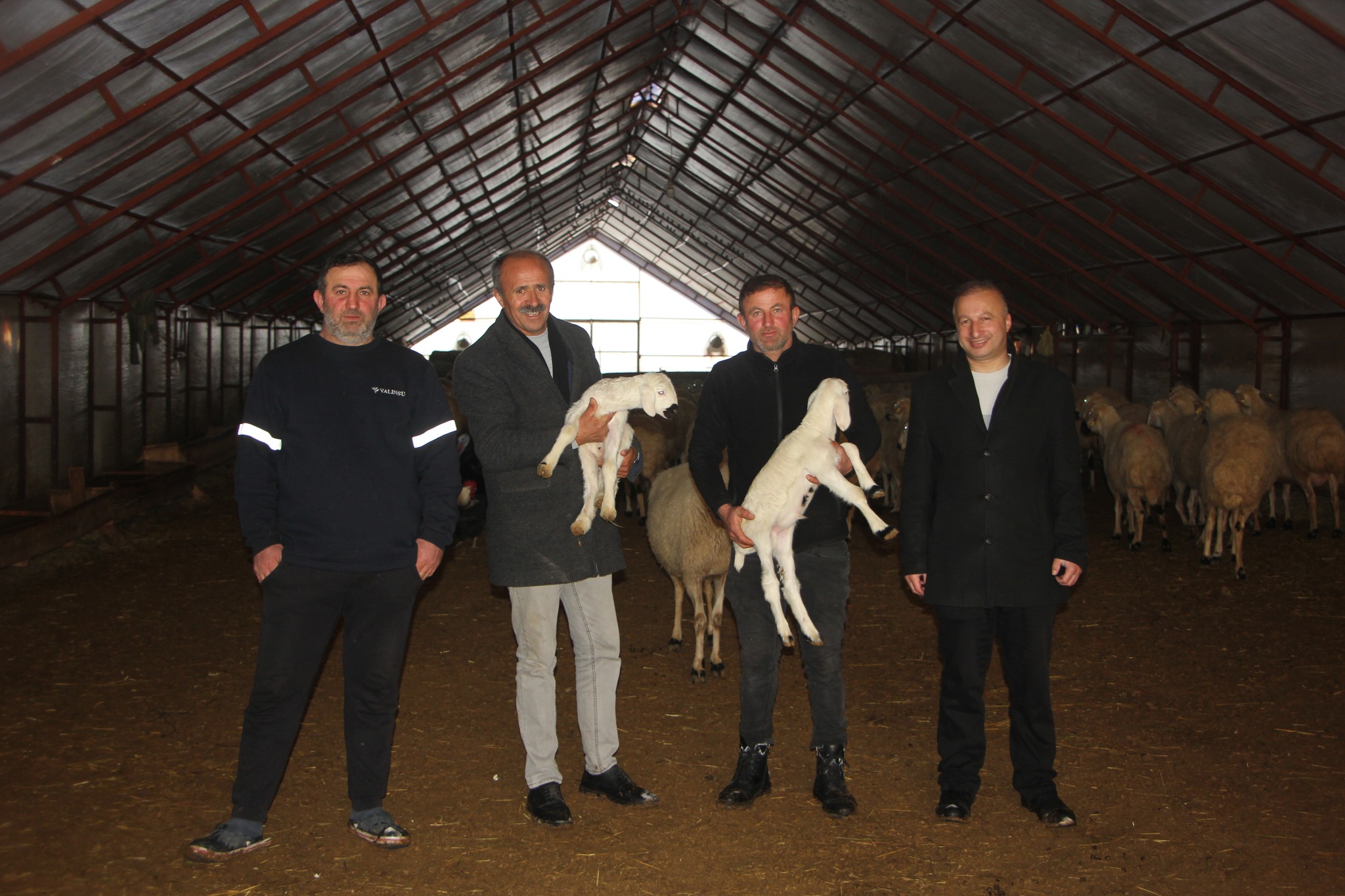 Sivas'ta Şap Riski Yüksek, Veteriner Sayısı Yetersiz, Başkandan Çağrı