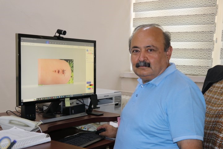 İlaçlama Hataları Kene Sayısını Arttırıyor