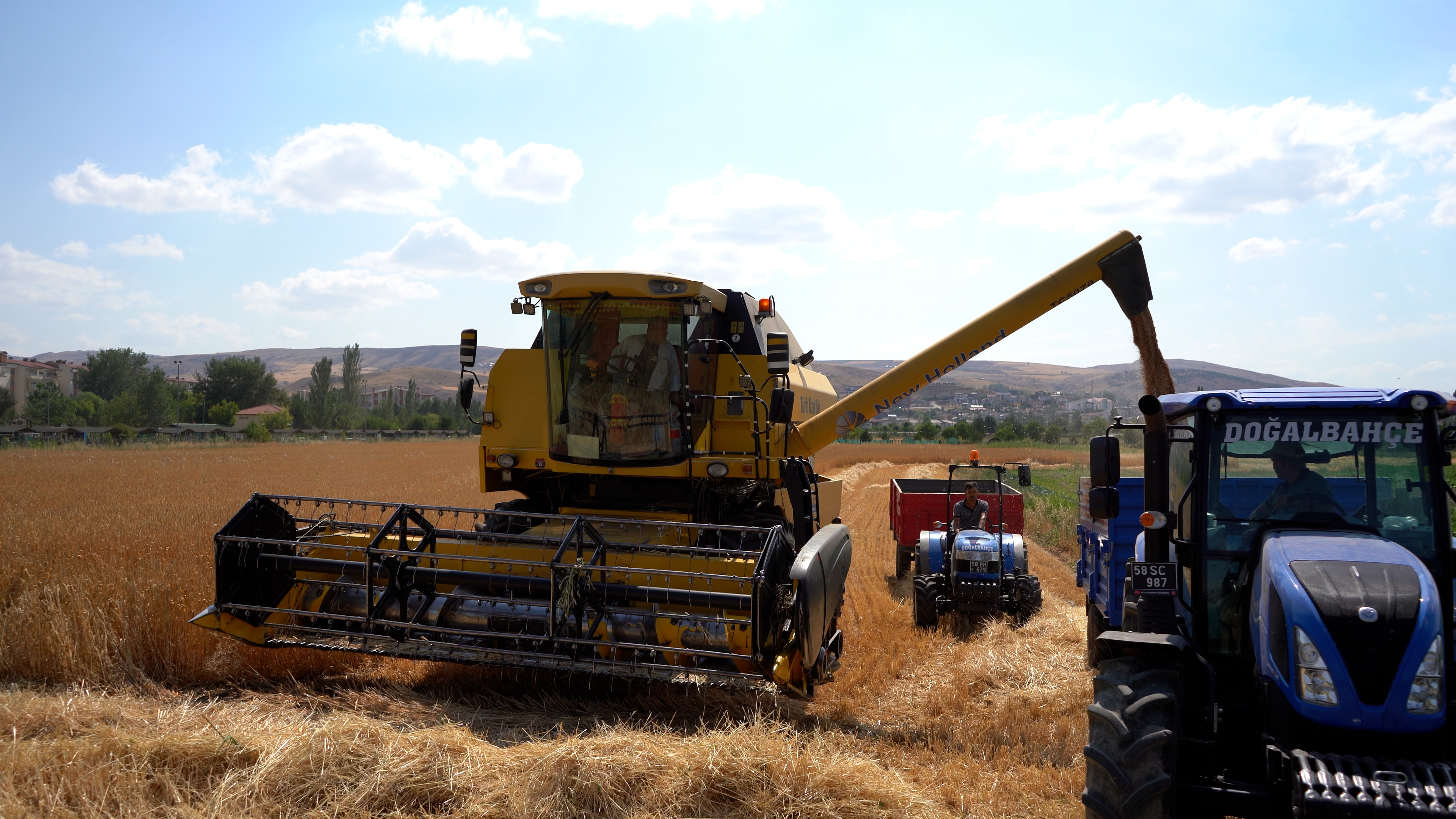 Sivas'ta  Hasat Geliri Öğrencilere Burs Olacak