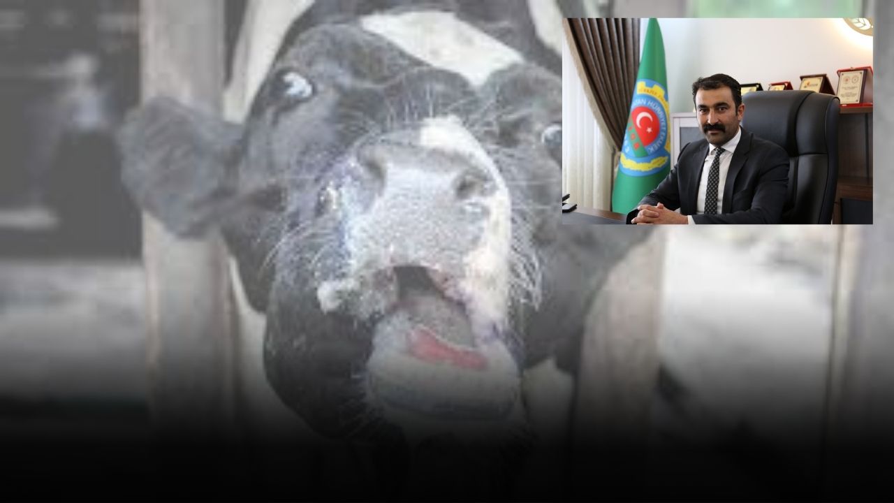 Sivas’ta Hayvancılık Alarm Veriyor, Kriz Kapıda!