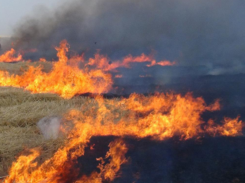 Sivas Valiliği'nden Anız Yangını Uyarısı!