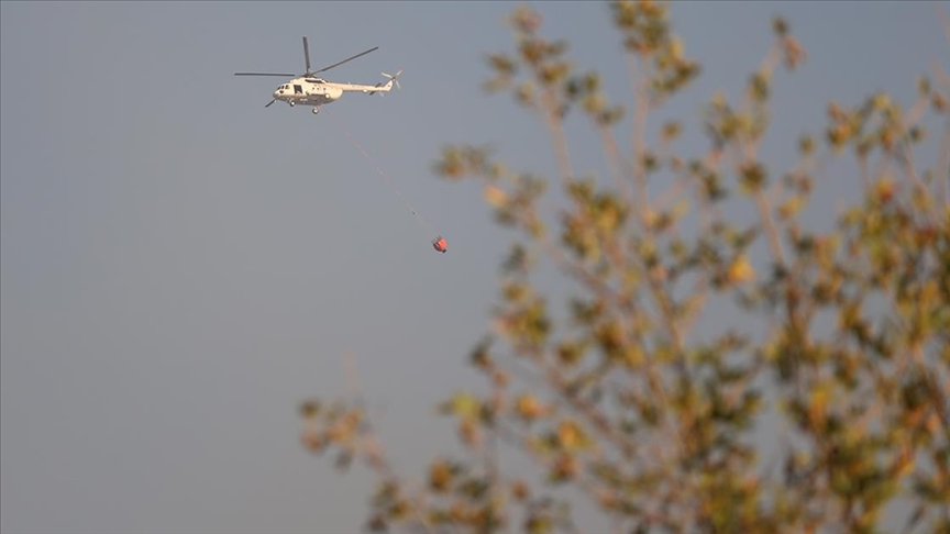 Orman yangınlarıyla mücadele sürüyor