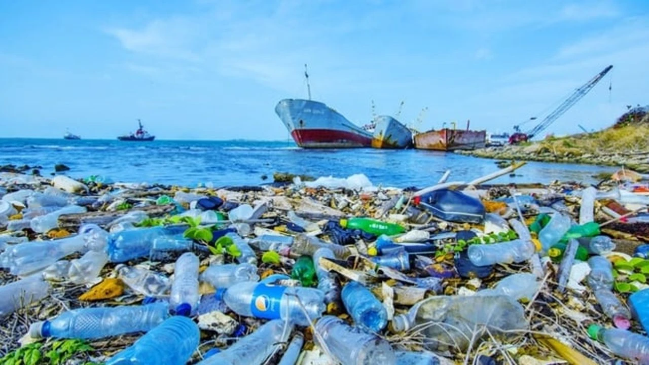 Plastik kirliliği konferansında anlaşma sağlanamadı