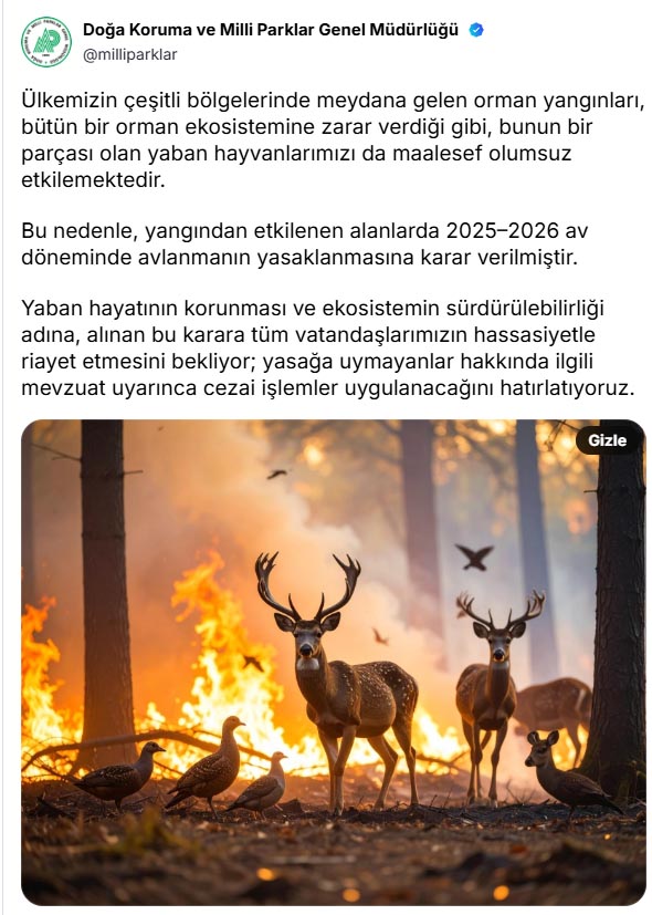 Orman yangınlarından etkilenen alanlarda av yasağı