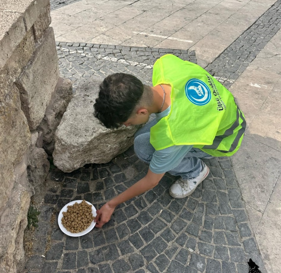 Sivas Ülkü Ocakları’ndan Sokak Hayvanlarına Mama Desteği