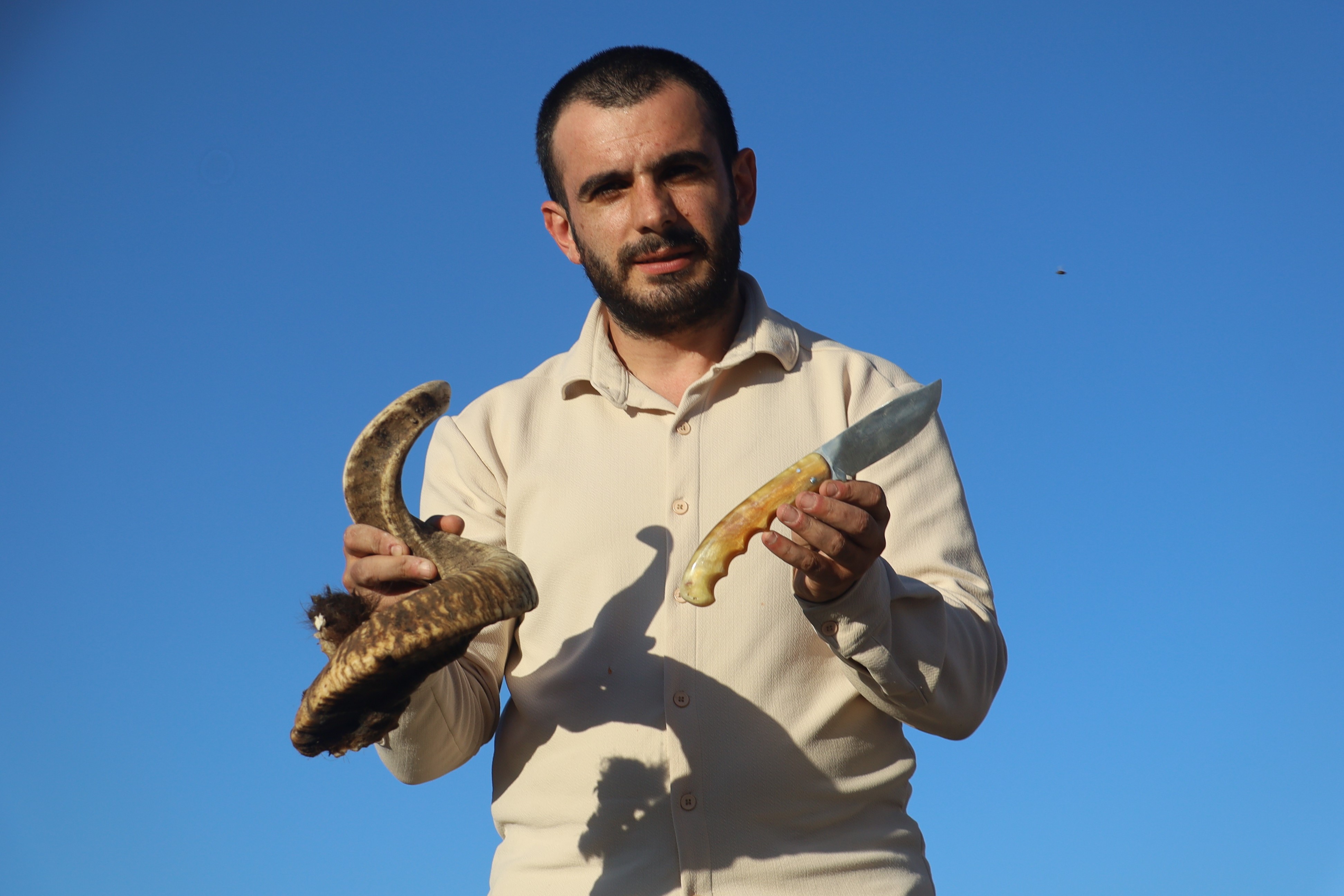 Sivas Bıçağının Olmazsa Olmazı Koçboynuzları Kurutulmaya Başladı