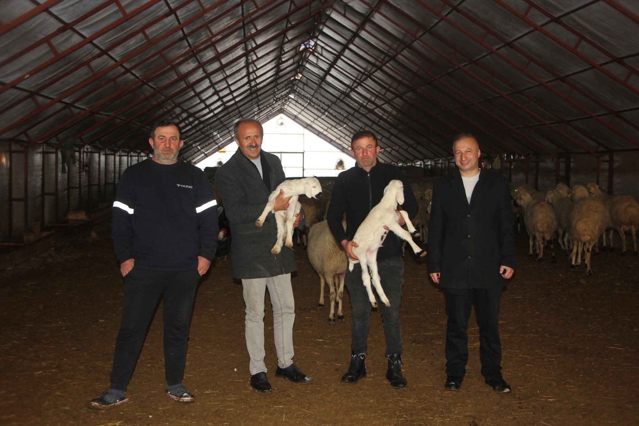 Sivas Kırsalında Veteriner Sorunu