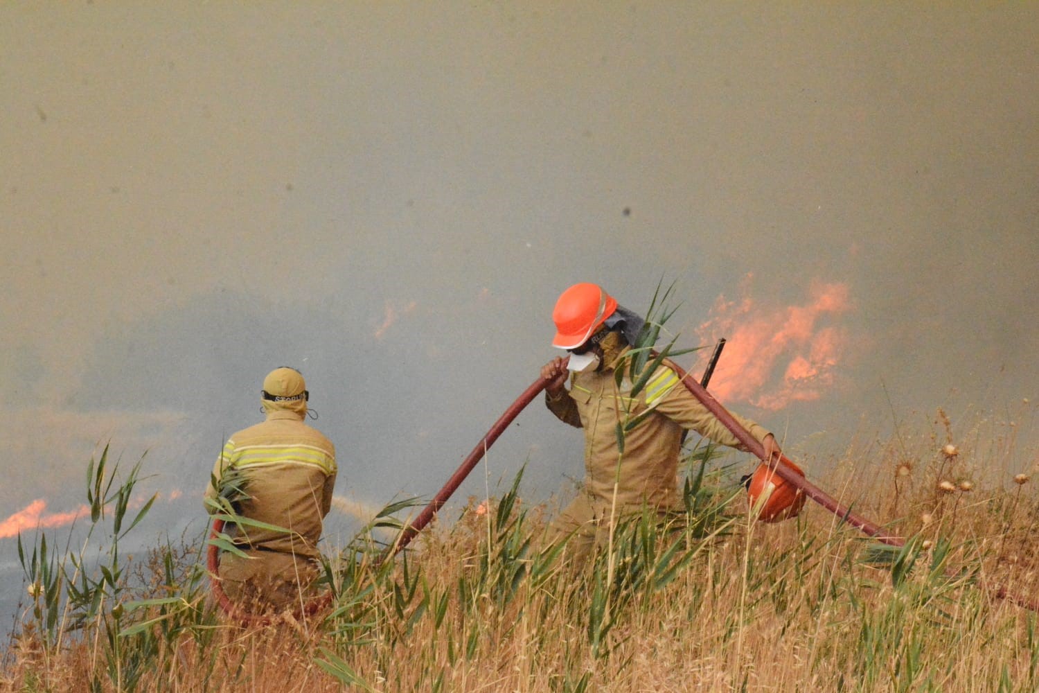 Yangınların yüzde 57’si orman dışı alanlarda başladı